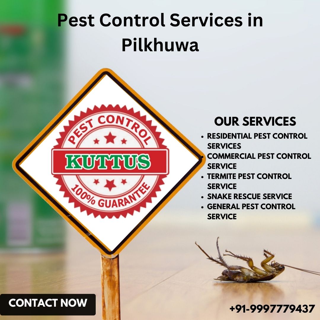 General Pest Control Service in Pilkhuwa